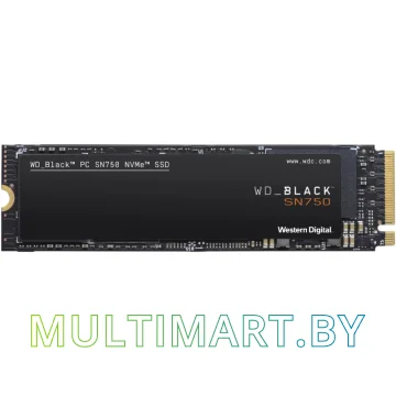SSD диск WD Black SN750 1TB (WDS100T3X0C)